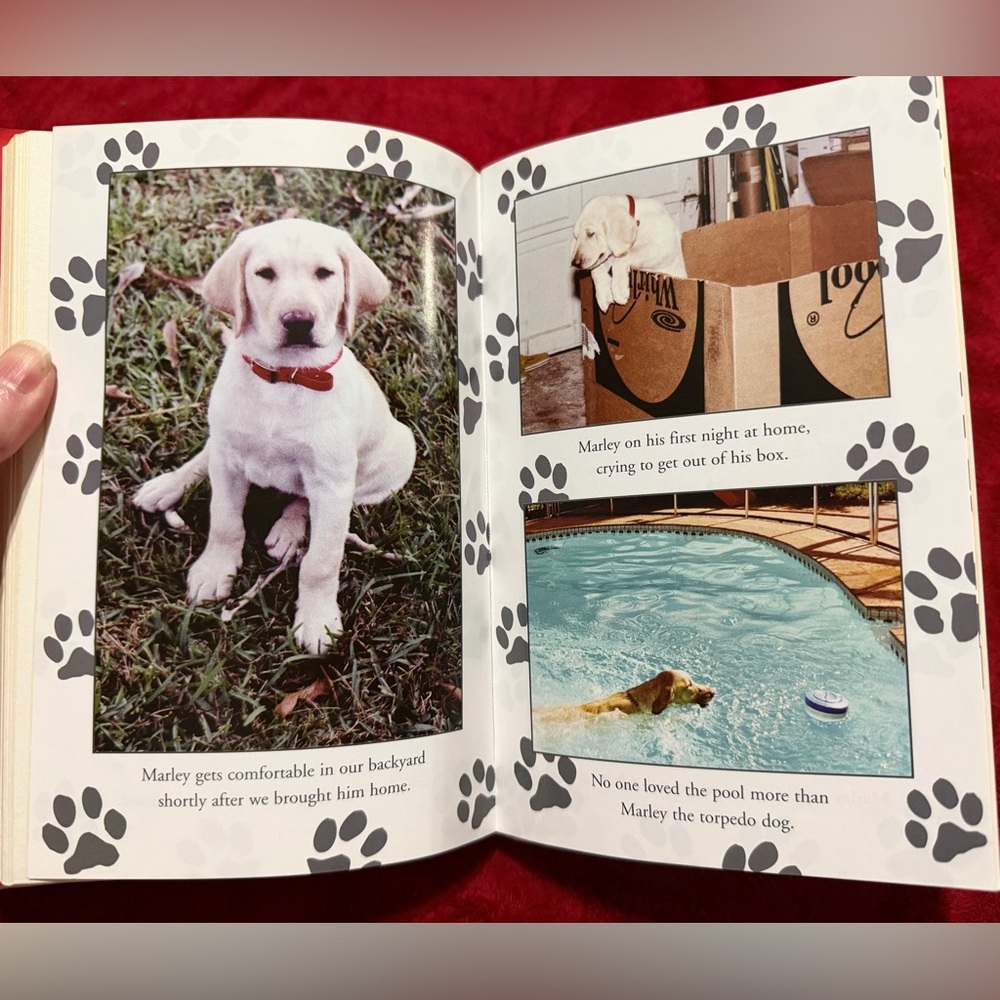 HARDBACK MARLEY AND ME BOOK NO CREASES FLAWS OR WRITING PERFECT WITH PICTURES! 🐕 - Picture 10 of 13